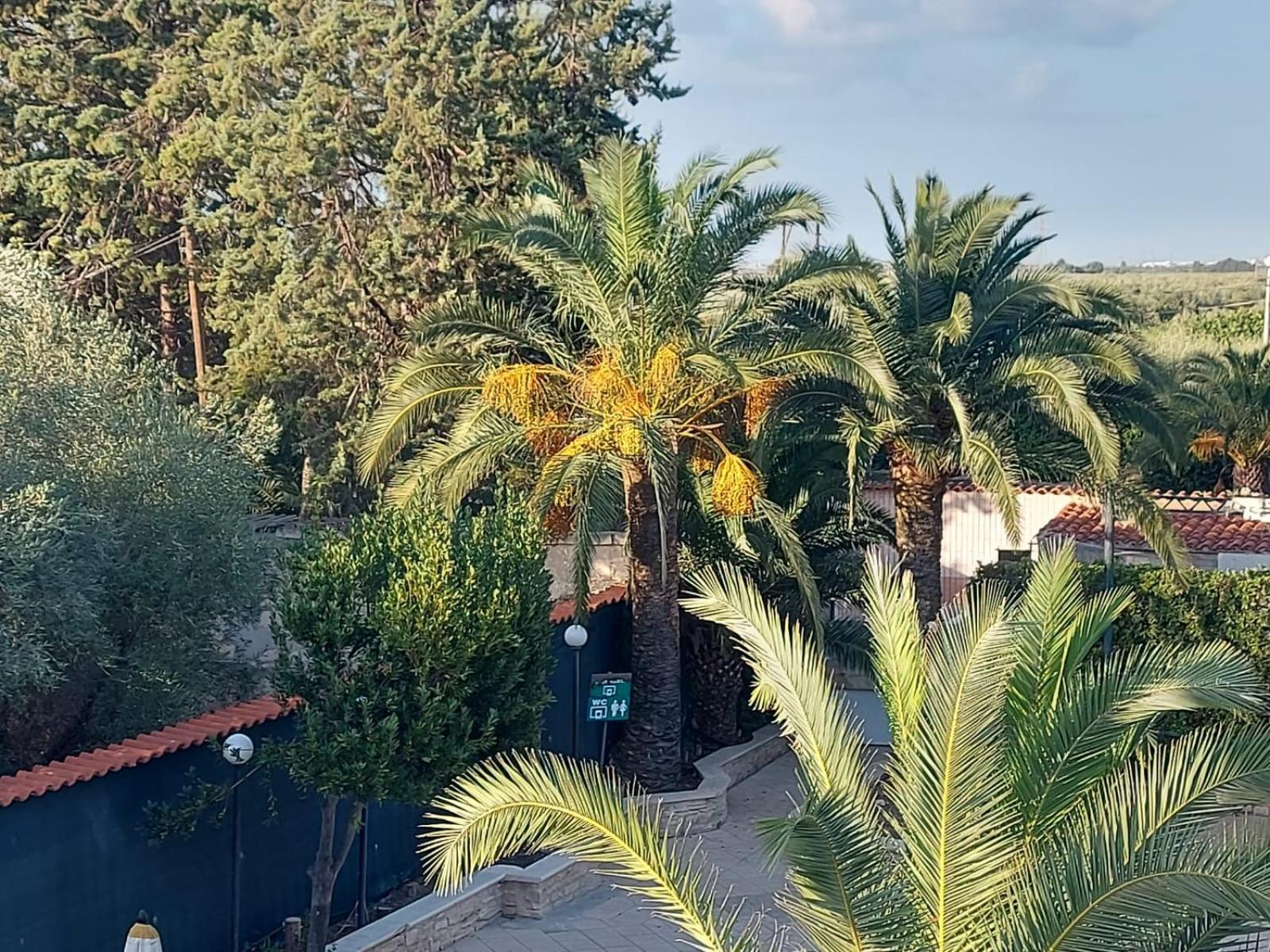 La Villa Del Conte Barletta Exterior foto